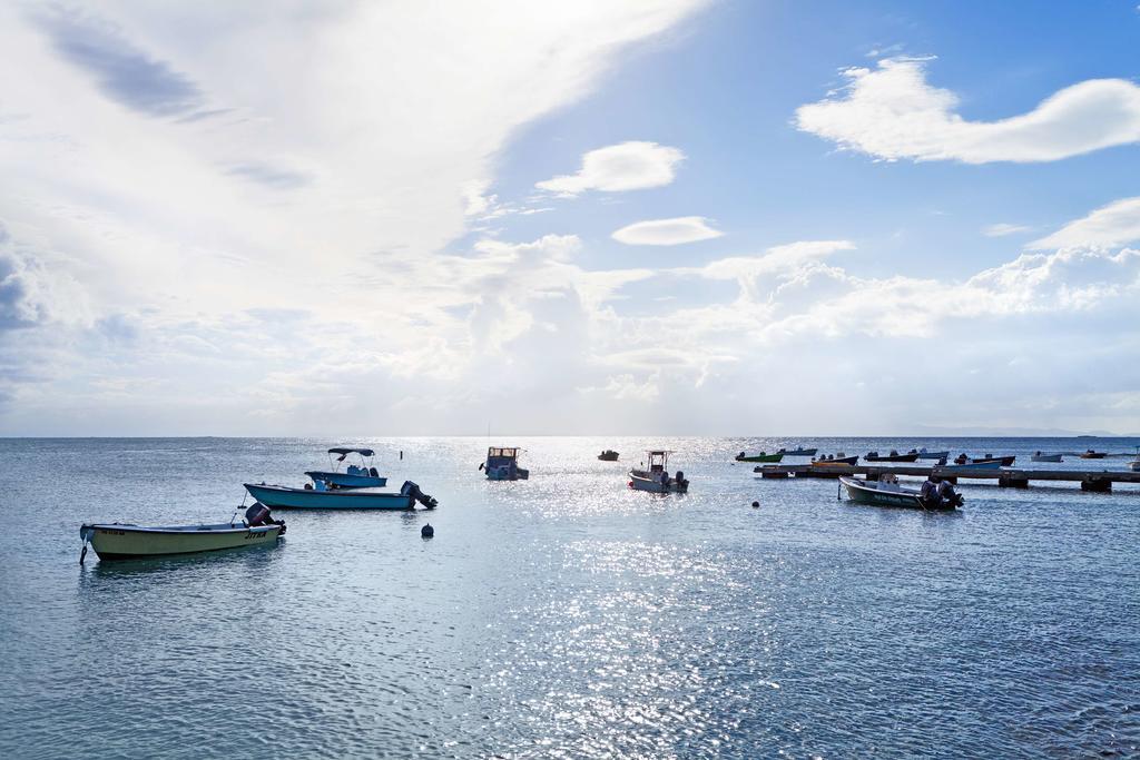 W Retreat & Spa - Vieques Island المظهر الخارجي الصورة